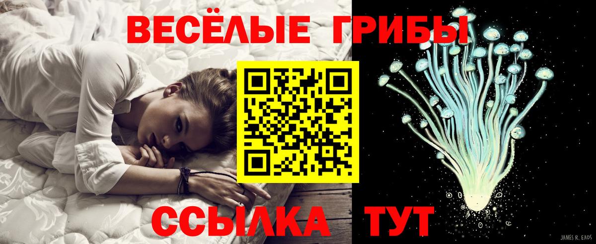 Псилоцибиновые грибы мицелий  Вход с VPN  Дмитров  Галлюциногенные грибы MAGIC MUSHROOMS 